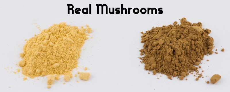 real mushrooms powder